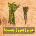 چویر - چنور - چنگویر (۷۵  گرمی)
