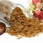 غذای خشک کرم میلورم ۱۵۰گرمی