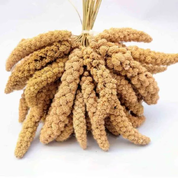 غذای پرندگان ارزن خوشه ای